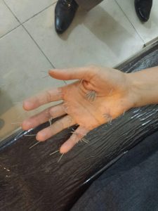 photo_2016-10-08_15-49-01