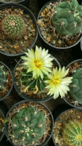 photo_2016-10-10_11-23-24