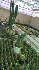 photo_2016-10-10_11-23-41