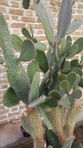 photo_2016-10-10_11-23-47