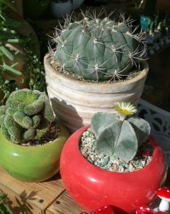 photo_2016-10-10_11-23-52