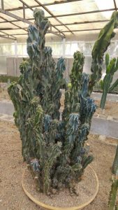 photo_2016-10-10_11-23-58