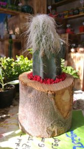 photo_2016-10-10_11-24-02