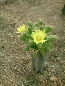 photo_2016-10-10_11-24-07