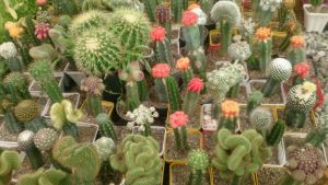 photo_2016-10-10_11-24-11