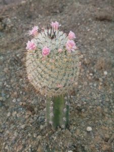 photo_2016-10-10_11-24-16