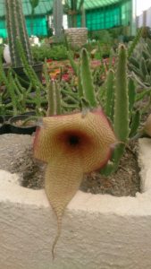 photo_2016-10-10_11-24-21