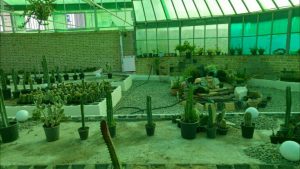 photo_2016-10-10_11-24-34